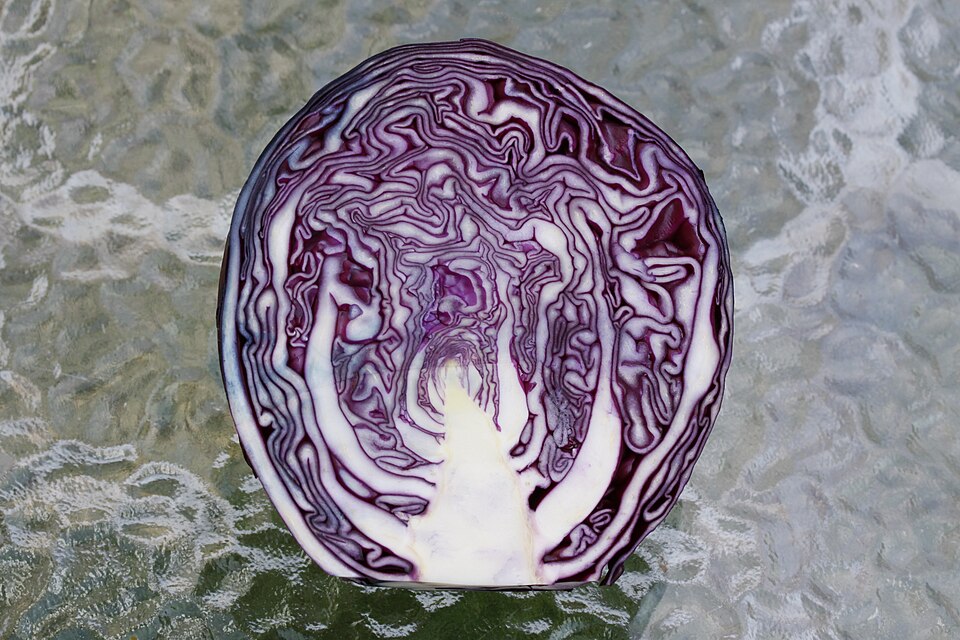 手撕包菜