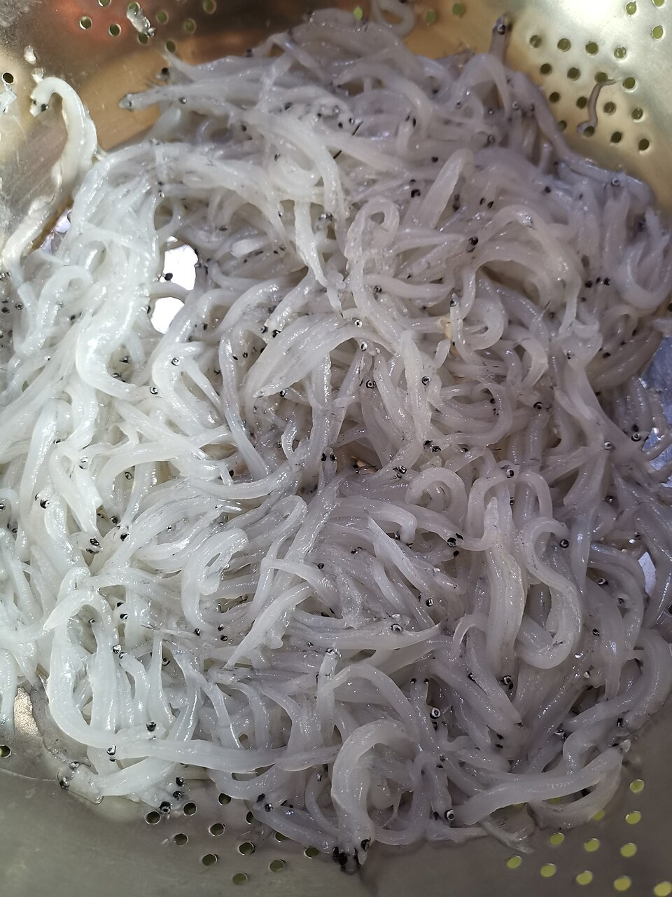 银鱼