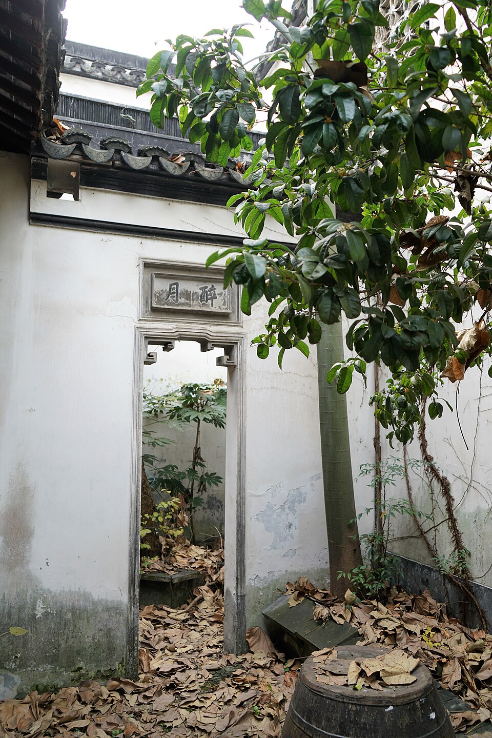 醉蟹